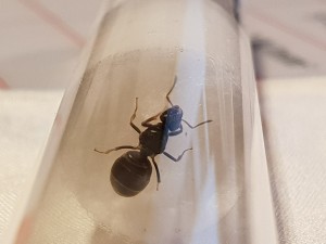 20180716_005557.jpg