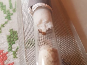 20180719_170449.jpg