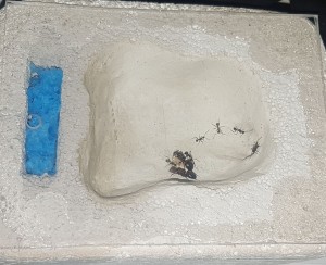 20180702_004553.jpg