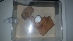 20180724_142711.jpg