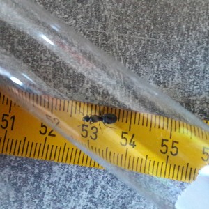 20180724_195610.jpg