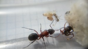 DSC_0428.JPG