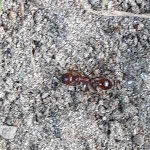 20180727_132510.jpg