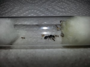 20180725_093815.jpg