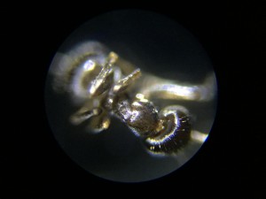 IMG_1847.JPG