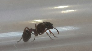 20180801_202541.jpg