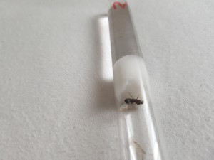 20180801_184831.jpg