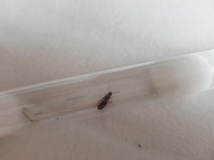 20180801_184929.jpg