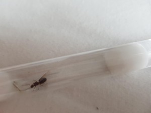 20180801_184936.jpg
