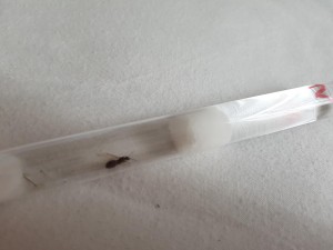 20180801_184939.jpg