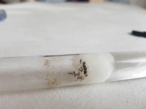 20180801_185241.jpg