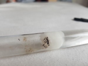 20180801_185252.jpg