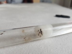 20180801_185300.jpg