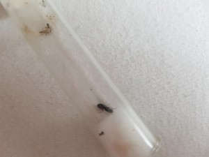 20180801_185433.jpg