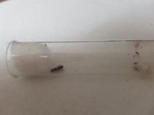 20180801_185447.jpg