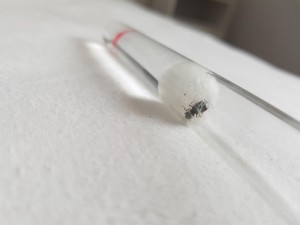 20180801_185542.jpg
