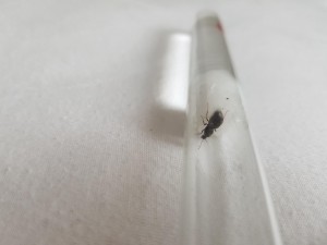 20180801_185556.jpg
