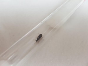 20180801_185606.jpg