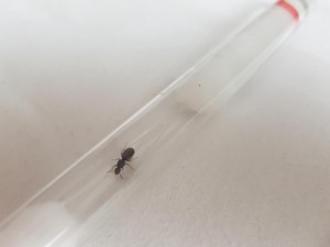 20180801_185609.jpg