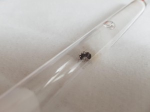 20180801_185700.jpg