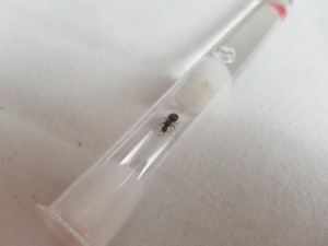 20180801_185738.jpg