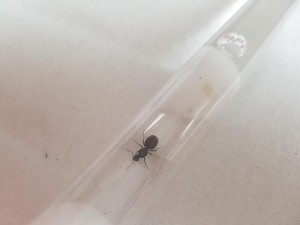 20180801_185742.jpg
