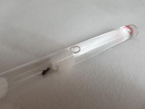 20180801_185757.jpg