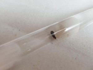 20180801_185825.jpg