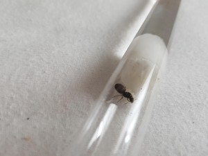 20180801_185829.jpg