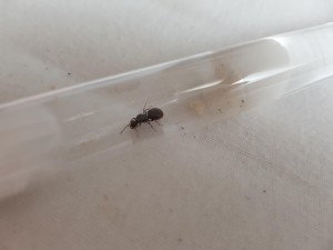 20180801_185835.jpg