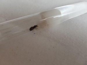 20180801_185842.jpg