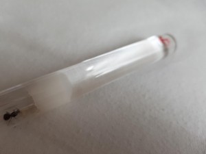 20180801_185844.jpg
