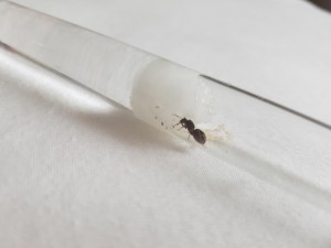 20180801_185916.jpg