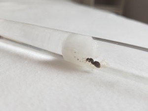 20180801_185921.jpg