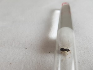 20180801_190021.jpg