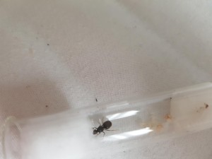 20180801_190046.jpg