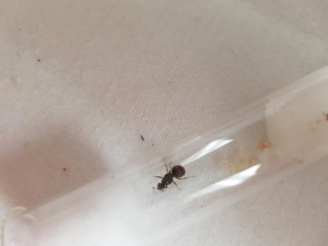 20180801_190058.jpg
