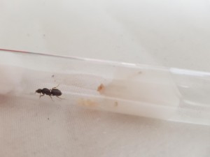 20180801_190113.jpg