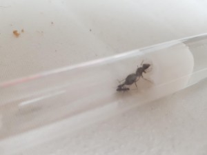 20180801_190318.jpg