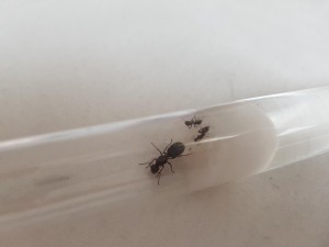 20180801_190427.jpg