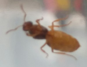 20180807_200004-1.jpg