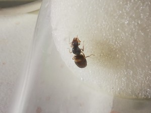 IMG_20180812_204701.jpg