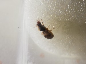 IMG_20180812_204717.jpg