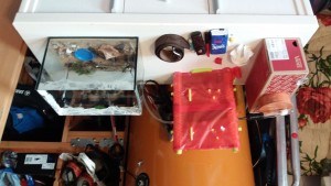 IMG-20180812-WA0004.jpeg