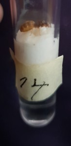 20180819_150629.jpg