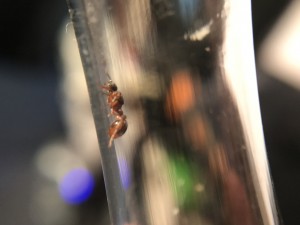 IMG_2256.JPG