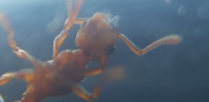 20180906_201915.jpg