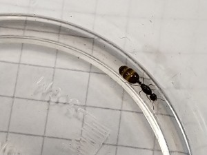 IMG_20180907_230540.jpg