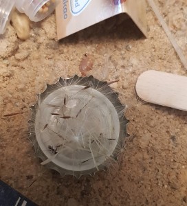 20180920_131258.jpg