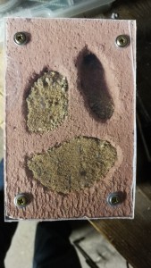 IMG_20180925_201153.jpg
